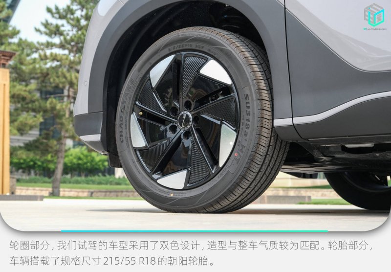 破译蚂蚁社会“文明”的基因口令
